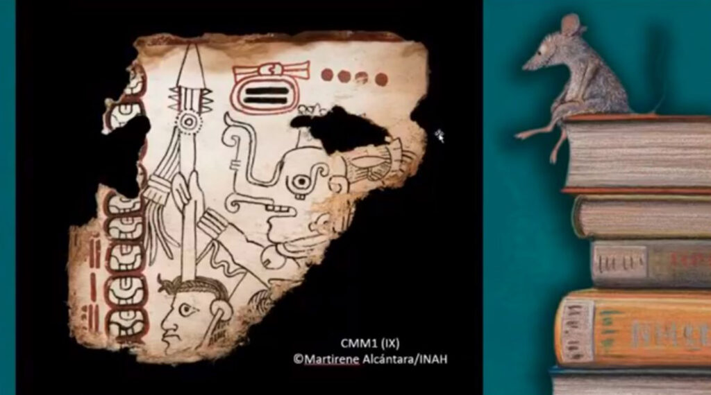 Códice Maya, el libro más antiguo legible del continente americano 6 Códice maya