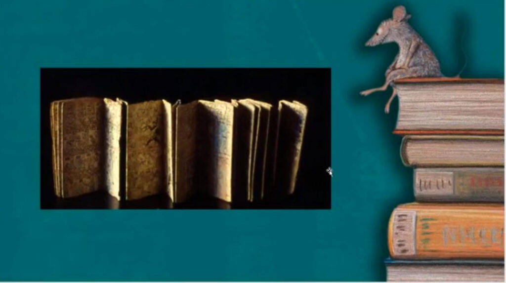 Códice Maya, el libro más antiguo legible del continente americano 8 Códice maya