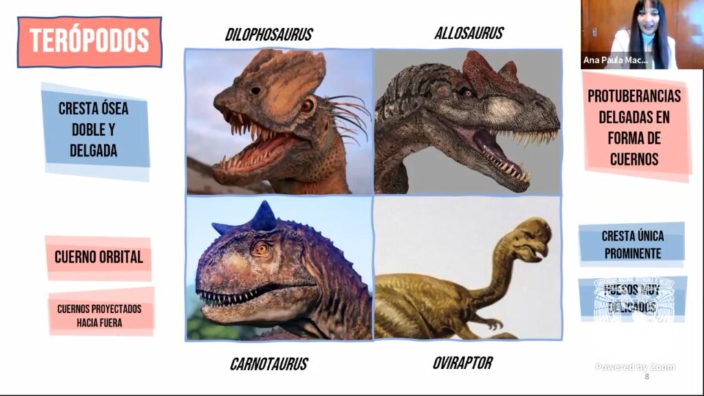Dinosaurios se apareaban igual que los gatos 5 dinosaurios