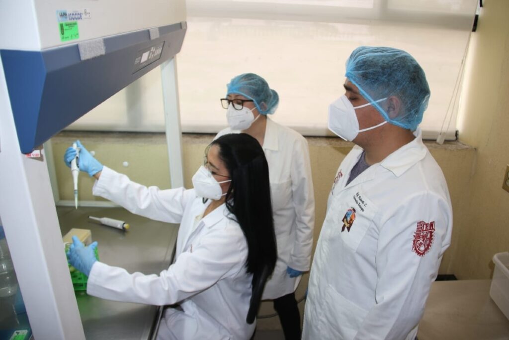 IPN consigue patente de bacteria anticancerígena proveniente del pulque 5 pulque