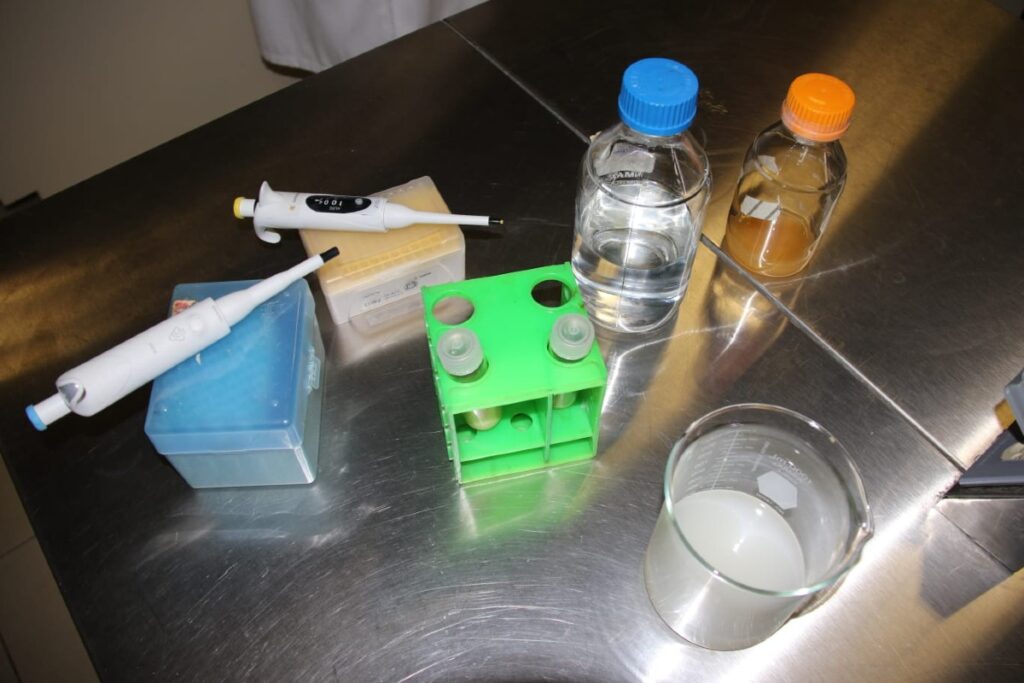 IPN consigue patente de bacteria anticancerígena proveniente del pulque 7 pulque
