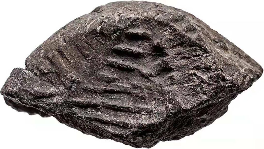 Hallan en Israel sello de arcilla de 7 mil años de antigüedad 7 sello