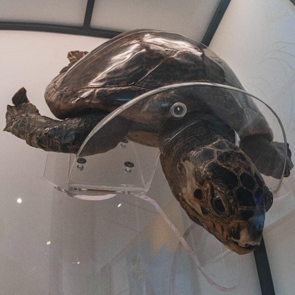 Pabellón de la Biodiversidad, único museo con laboratorios para investigación 8 Pabellón Nacional de la Biodiversidad,