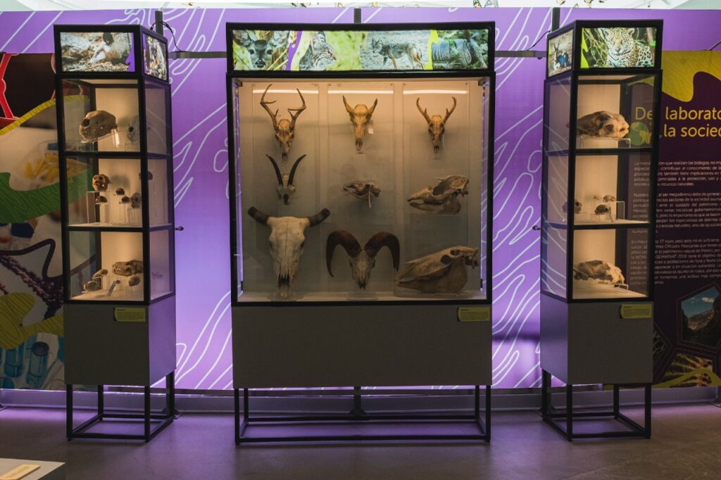 Pabellón de la Biodiversidad, único museo con laboratorios para investigación 6 Pabellón Nacional de la Biodiversidad,