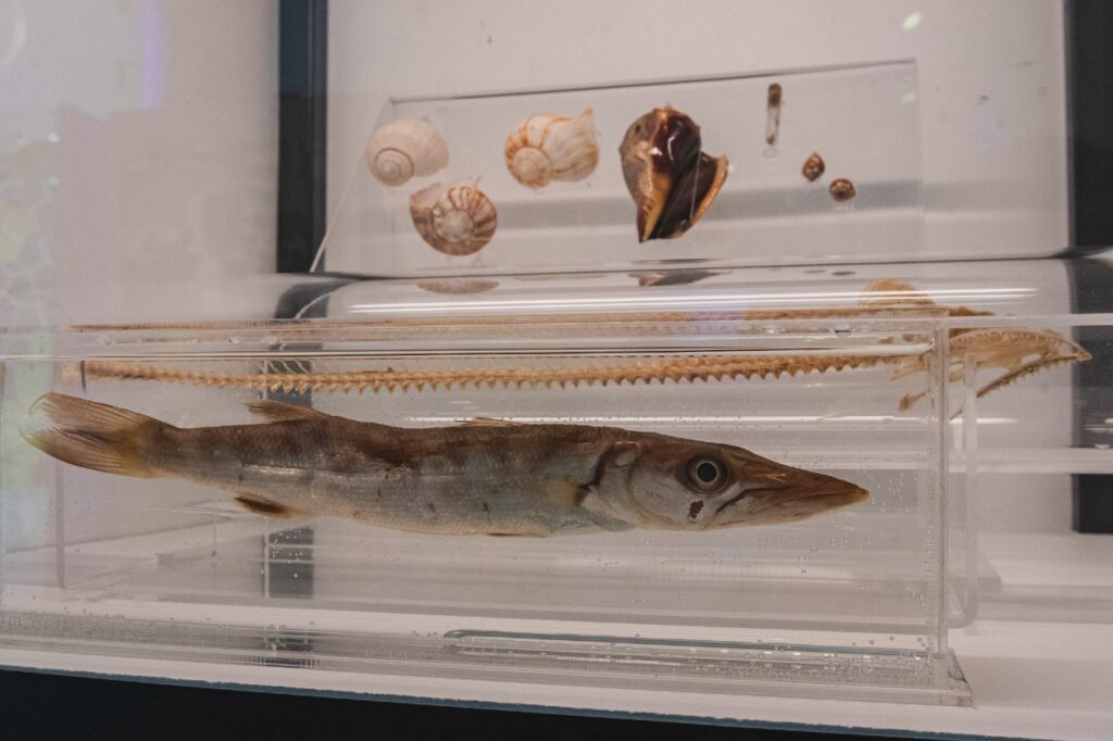 Pabellón de la Biodiversidad, único museo con laboratorios para investigación 9 Pabellón Nacional de la Biodiversidad,