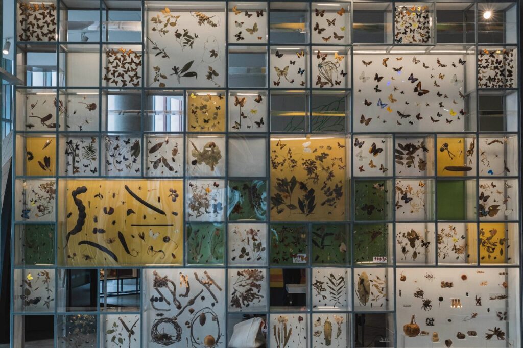 Pabellón de la Biodiversidad, único museo con laboratorios para investigación 10 Pabellón Nacional de la Biodiversidad,