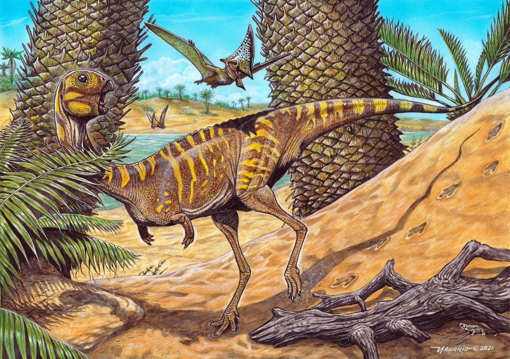 Berthasaura Leopoldinae', la nueva especie de dinosaurio descubierta -  Fusilerías