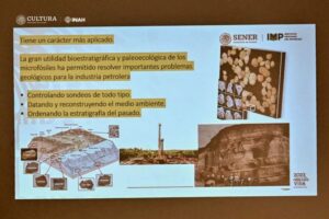 Exposición del INAH explica la recuperación y el estudio de fósiles 6 Fosiles inah 3