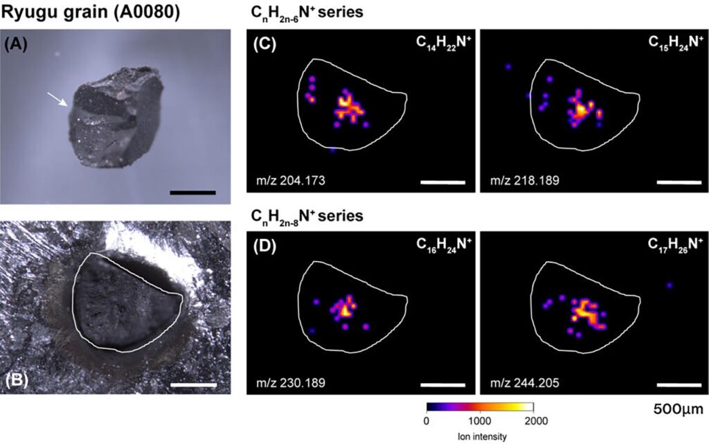 Se refuerza teoría sobre origen de la vida con material extraterrestre 6 UNAM