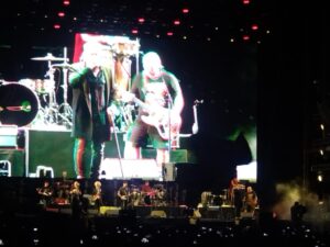 Lluvia, Luna y ska con los Fabulosos Cadillacs en el Zócalo 8