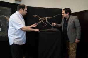 Presentan en Argentina reptil volador de hace 230 millones de años 6 Reptil volador. El fósil del Venetoraptor ofrece pistas claras de la evolución temprana de los pterosaurios, dicen los científicos encargados del hallazgo