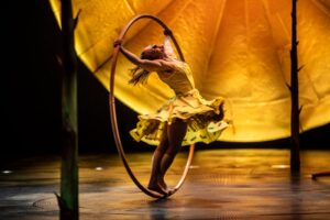Regresa Cirque du Soleil con un Clown Soñador 6 Corteo de Cirque du Soleil llegará a México con nuevos actos y deslumbrando con una historia conmovedora y espectacular, donde la fantasía desafía a la realidad a través de música poética y traviesa.