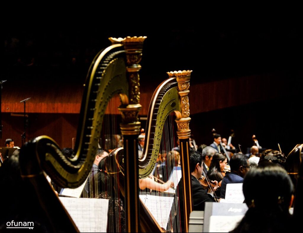 Ofunam estrenará “Sinfonía 5” de Ibarra y homenajeará a vieneses 6 Homenaje a vieneses. Foto: Ofunam.