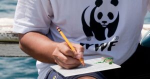 WWF reprochó que el documento de la cumbre climática COP28 de Dubái presente un abanico de opciones energéticas, pero ninguna para eliminar gradualmente los combustibles fósiles