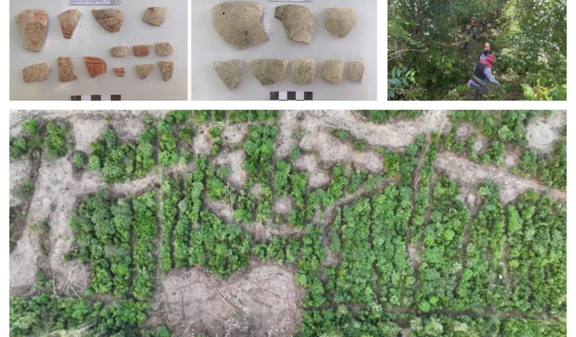 Arqueólogos del INAH han descubierto 9 mil 699 monumentos precortesianos en el frente 4 del Tramo 7 del Tren Maya