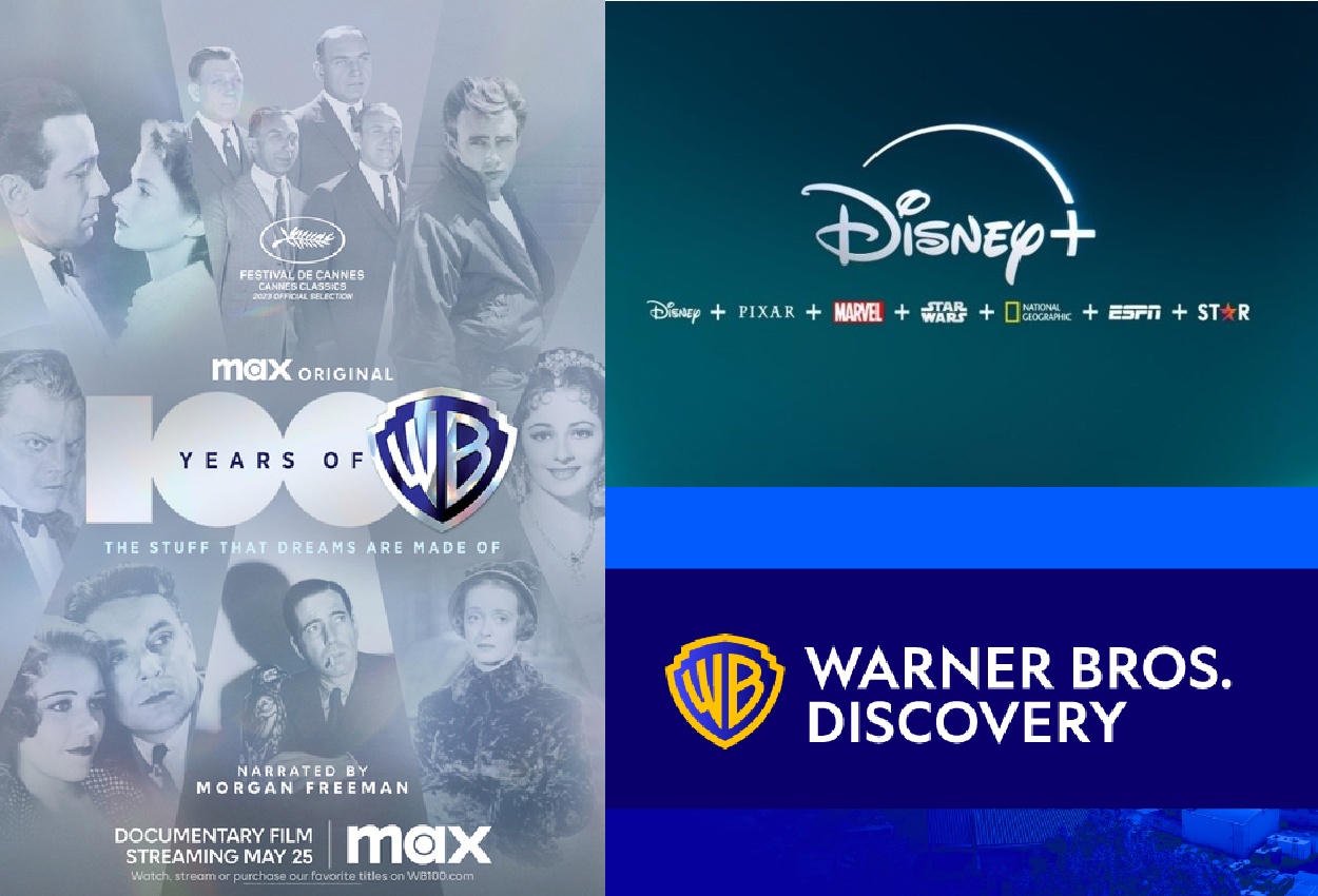 Disney y Warner Bros sacan de su catálogo series y películas más valiosas -  Fusilerías