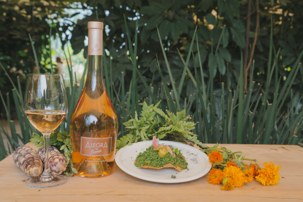 González Byass y Domecq dicen: ¡Salud! por la Tierra 10 González Byass Pedro Domecq Parcela de Tepoztlán