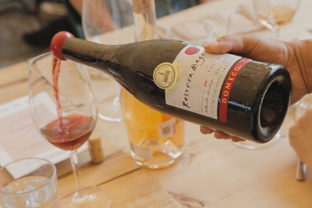 González Byass y Domecq dicen: ¡Salud! por la Tierra 12 González Byass Pedro Domecq Parcela de Tepoztlán