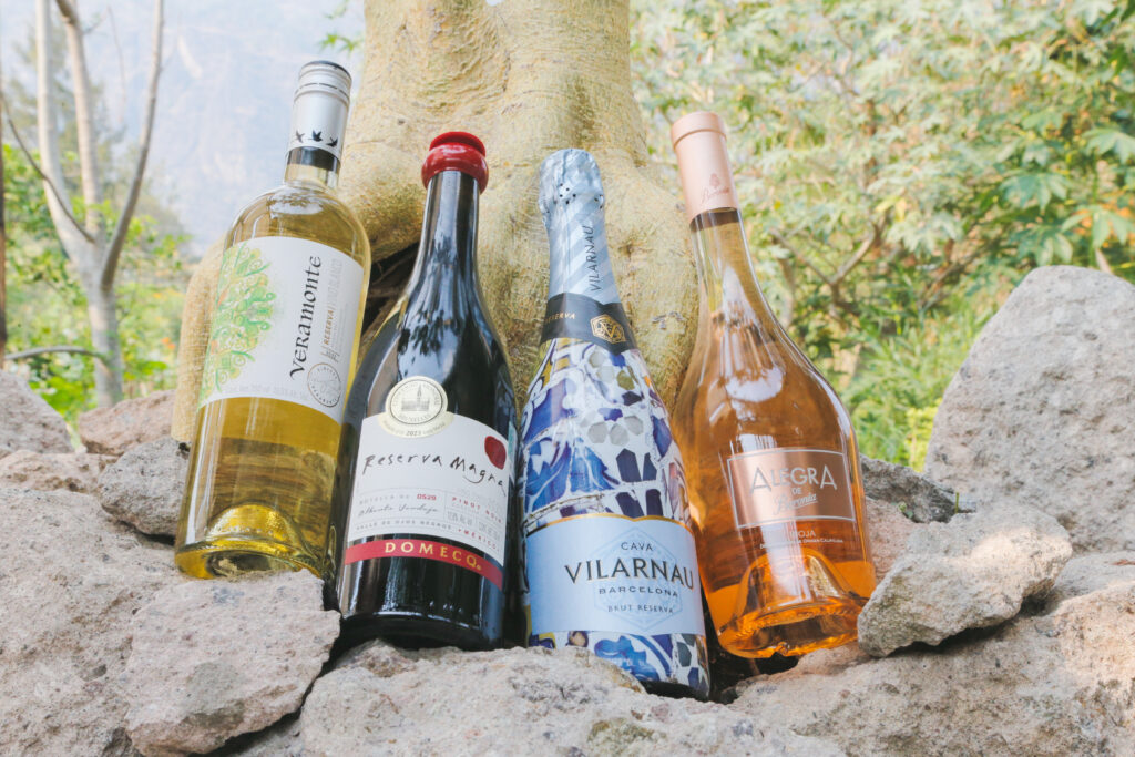 González Byass y Domecq dicen: ¡Salud! por la Tierra 13 González Byass Pedro Domecq Parcela de Tepoztlán