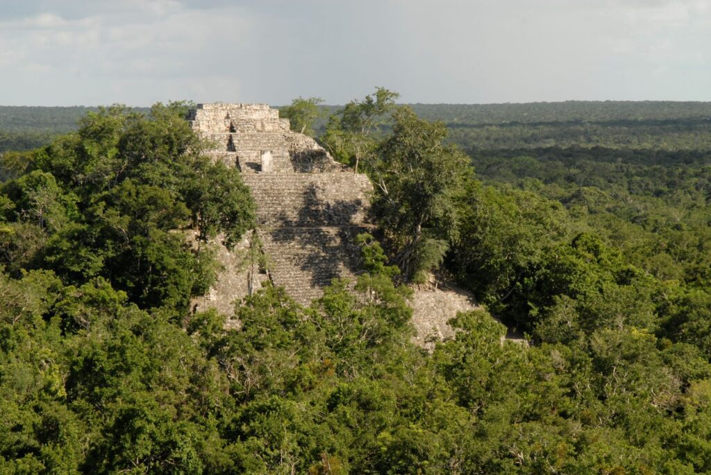 Gran Acrópolis de Calakmul reabre con 30 piezas recuperadas 10 Gran acropolis calakmul tren maya inah Cyrus Lundel