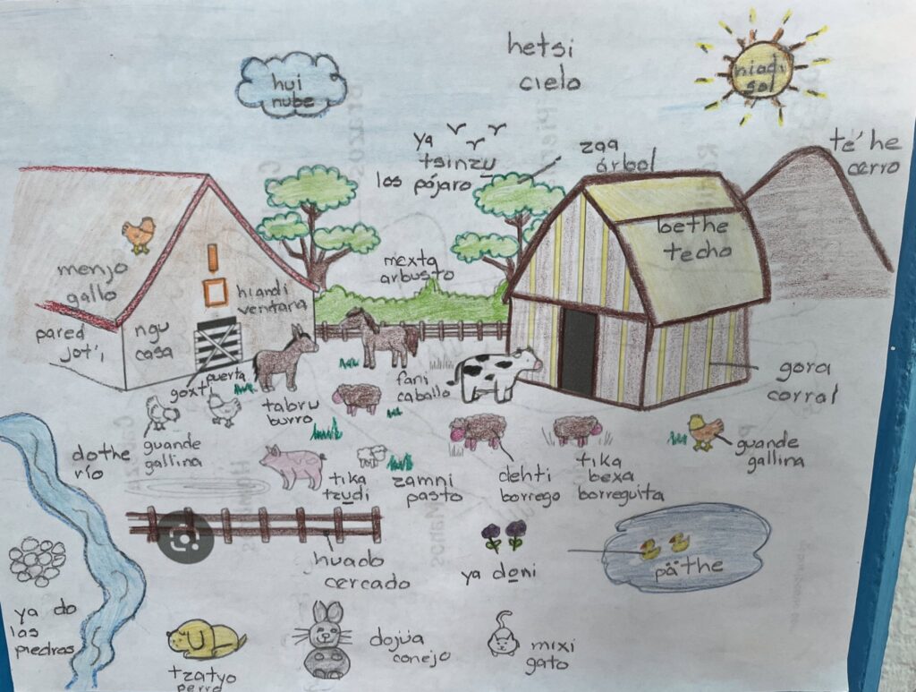 Lanzan proyecto para rescatar el otomí de la extinción 6 aprendizaje otomí cultura lengua villa del carbón