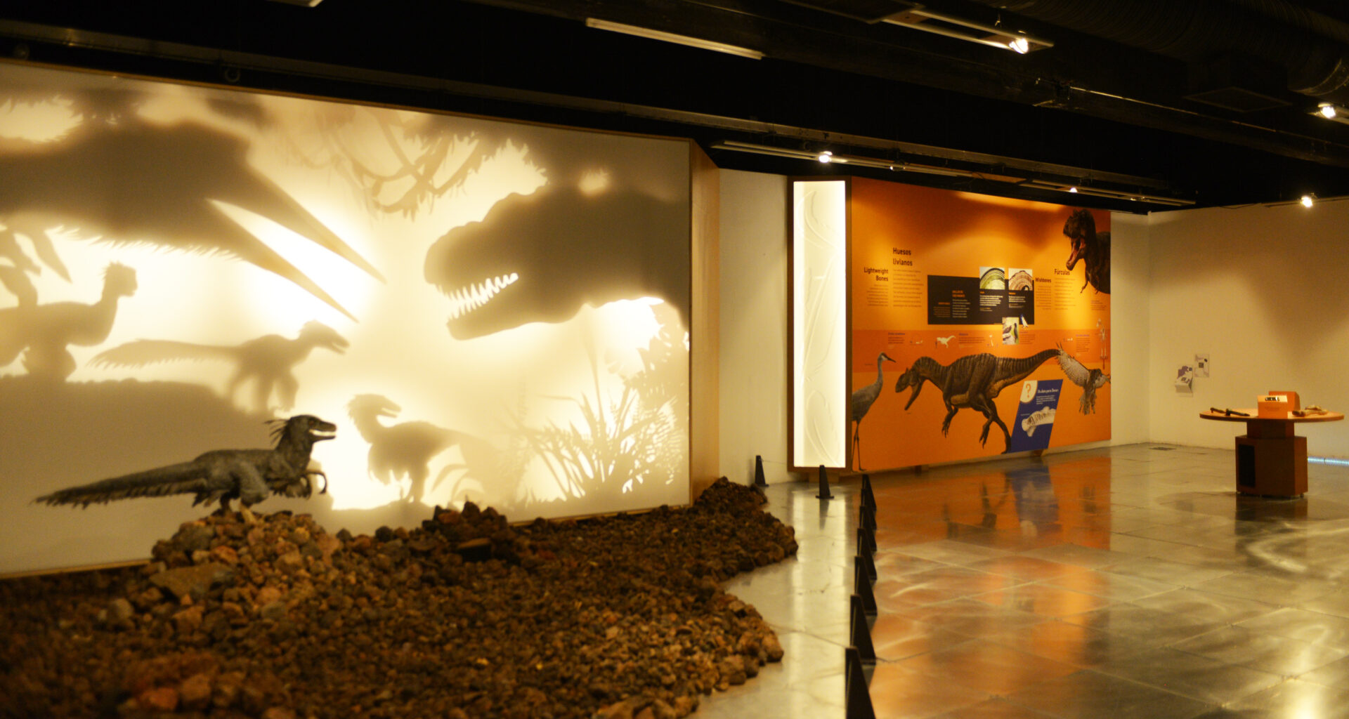 Dinosaurios entre nosotros Universum ciencias unam