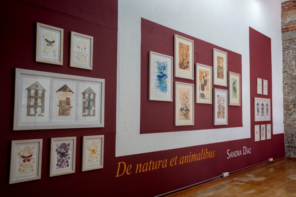 ‘De natura et animalibus’: un equilibrio entre el arte y la ciencia 6 De natura et animalibus Sandra diaz museos chapingo
