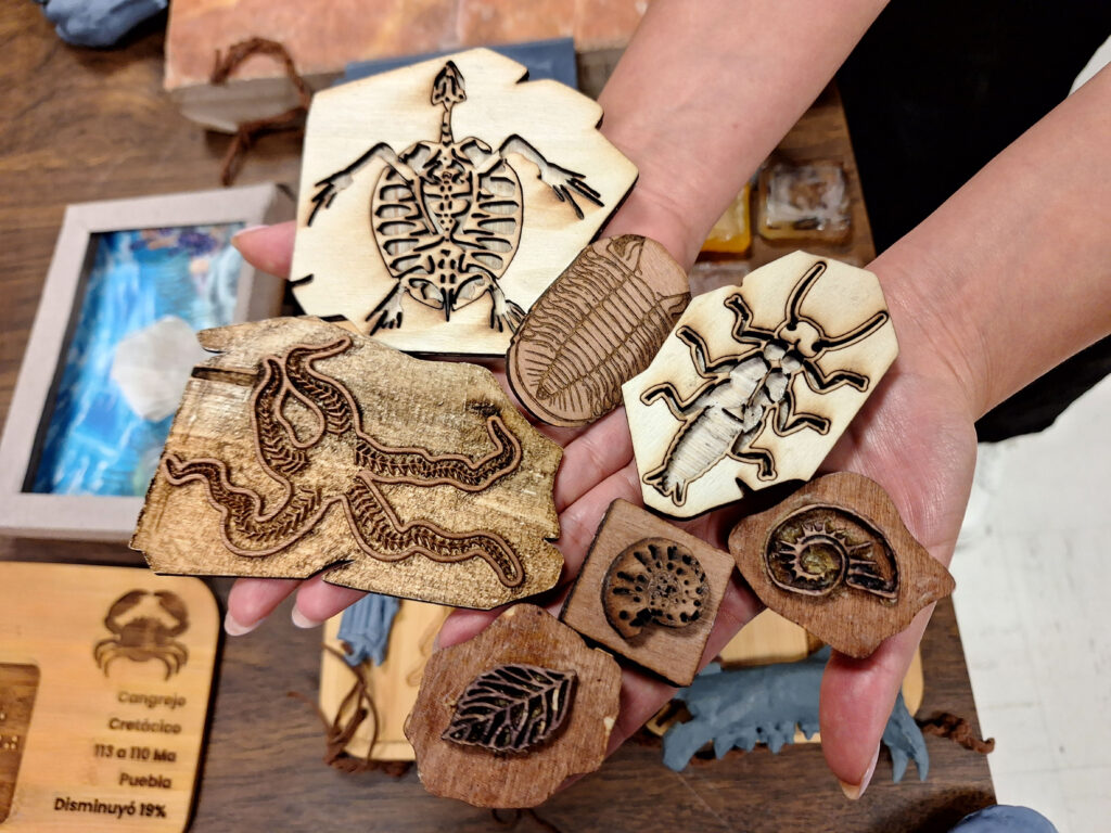 Dedican ‘Patrimonio fósil nacional’ a personas con debilidad visual 10 Patrimonio fósil nacional instituto geología braile