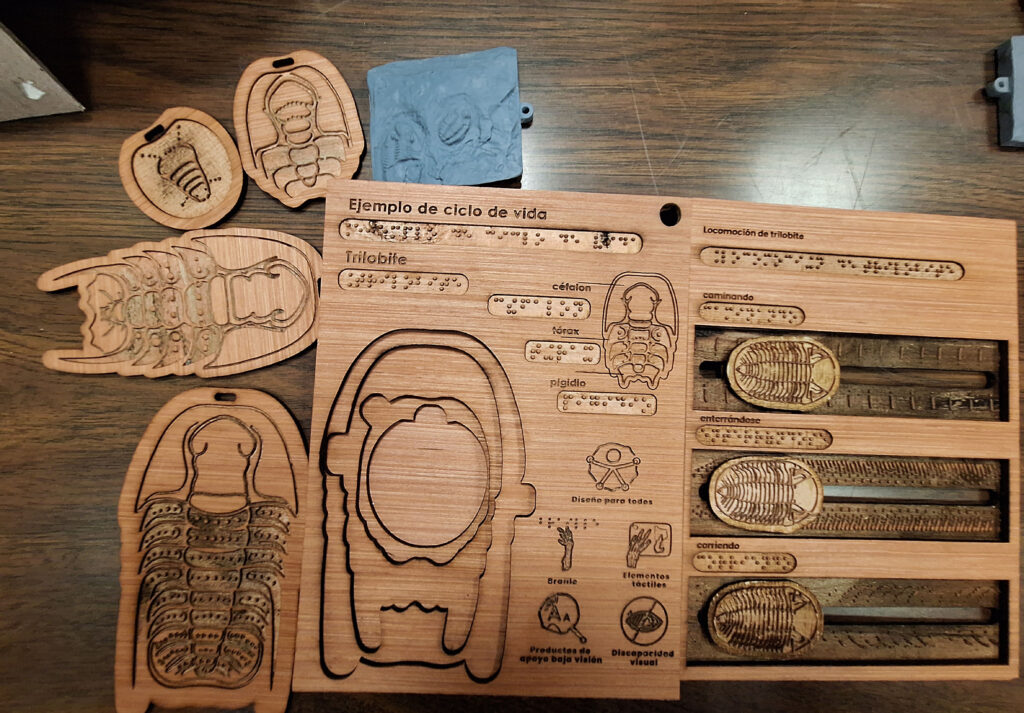 Dedican ‘Patrimonio fósil nacional’ a personas con debilidad visual 6 Patrimonio fósil nacional instituto geología braile