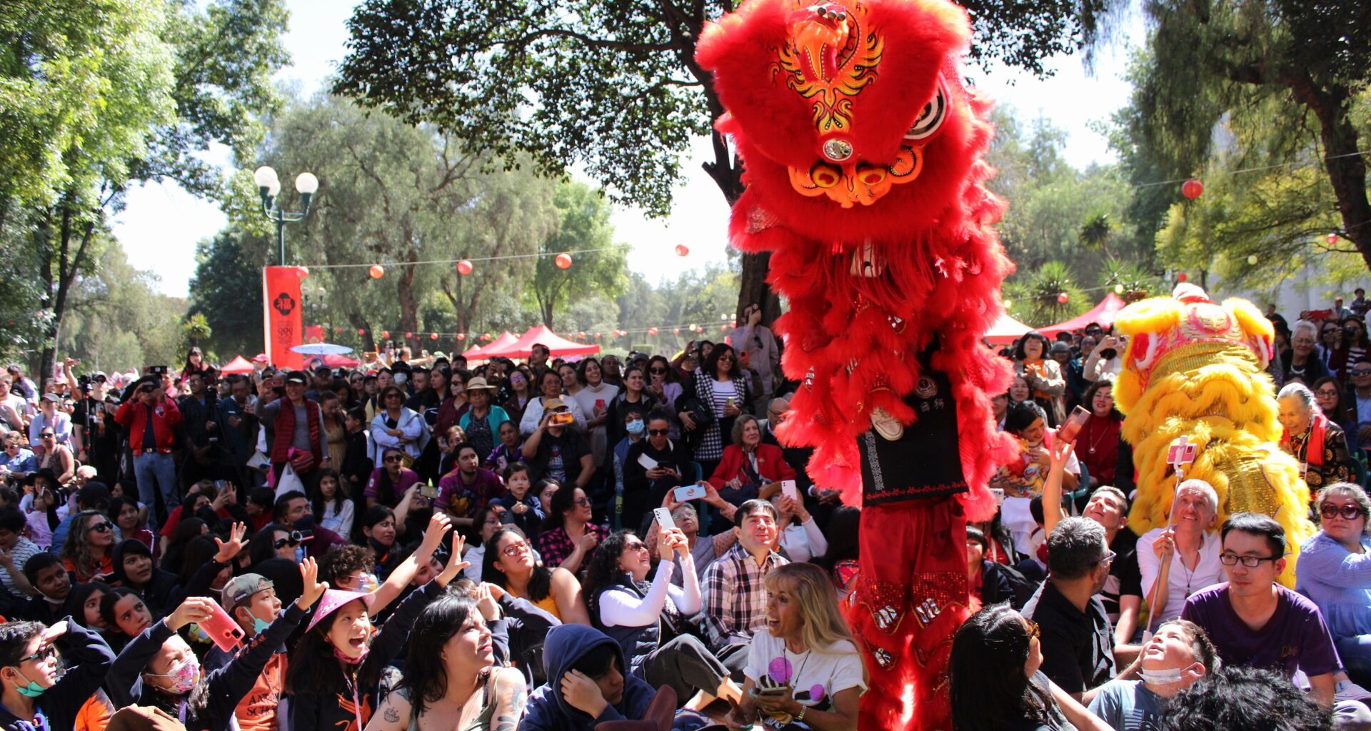 Serpiente de Madera festival año nuevo chino cenart