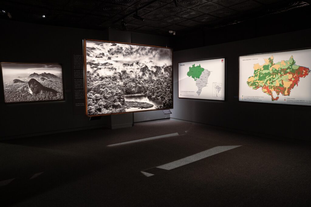 ‘Amazônia’ reúne 58 expediciones por tierra, aire y agua de Sebastião Salgado 6 Amazônia artista Sebastião Salgado selva fotografía