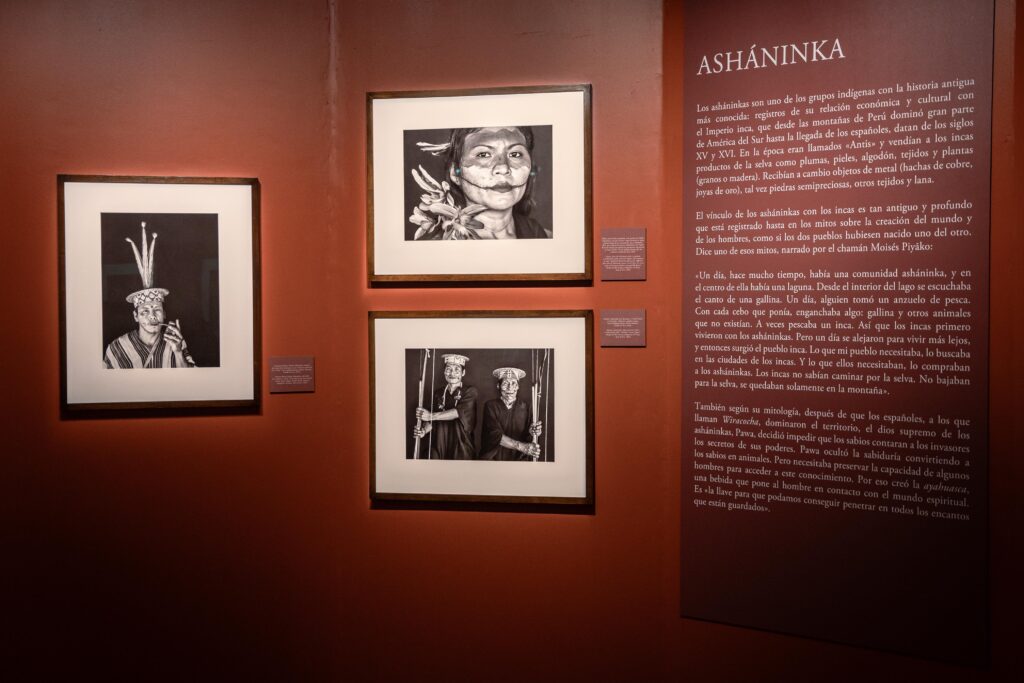 ‘Amazônia’ reúne 58 expediciones por tierra, aire y agua de Sebastião Salgado 10 Amazônia artista Sebastião Salgado selva fotografía