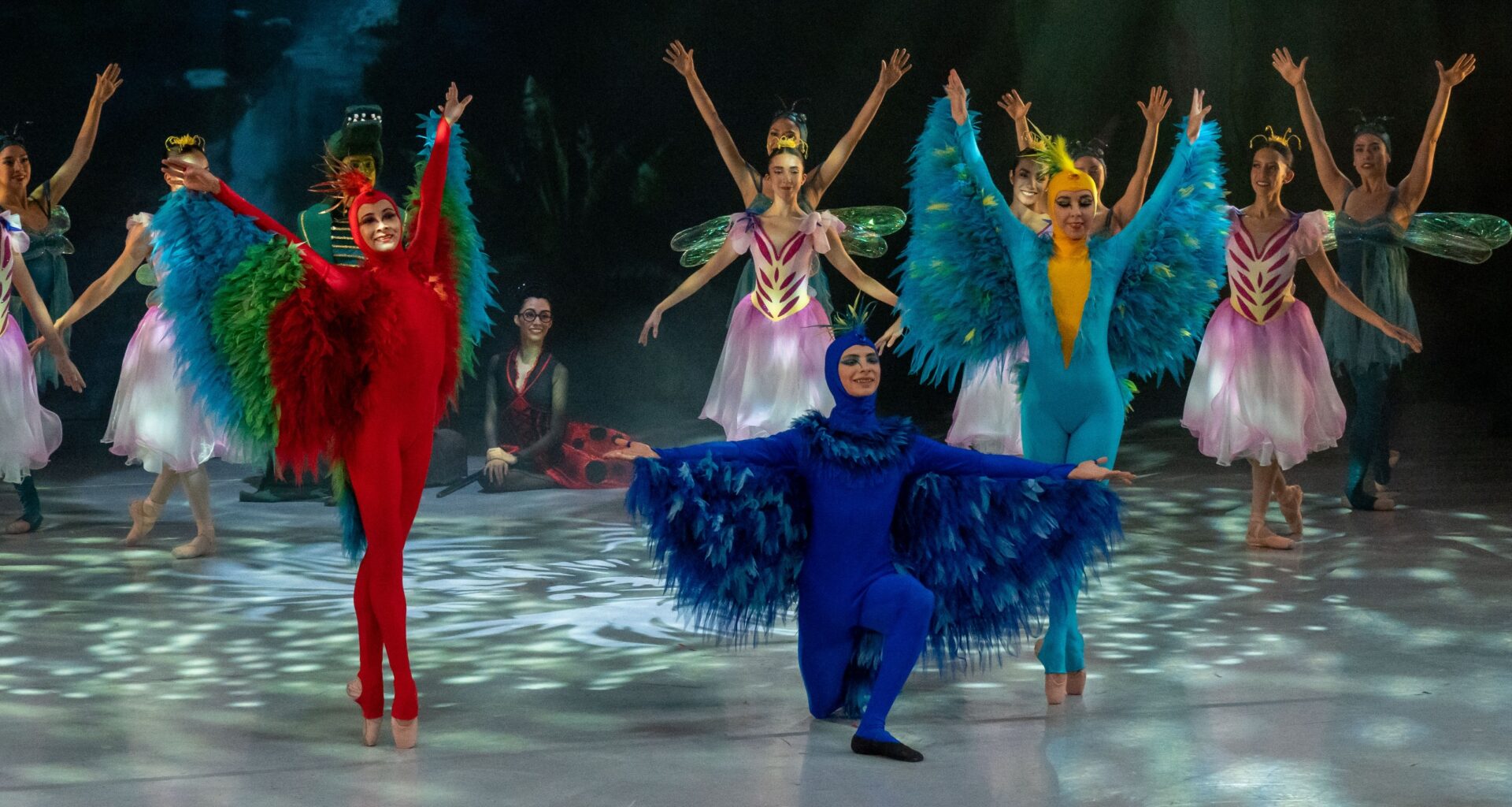 Carnaval de los animales canto cisne danza ambiente