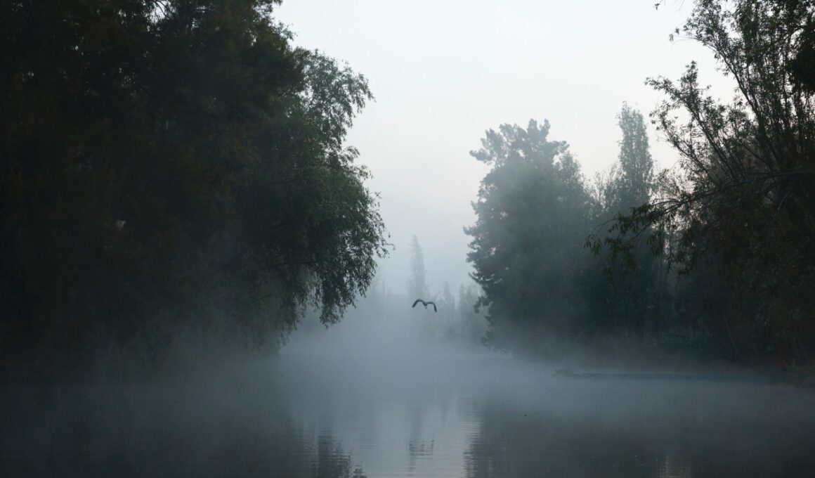 Chinampa Veneta Arquitectura La Biennale di Venezia