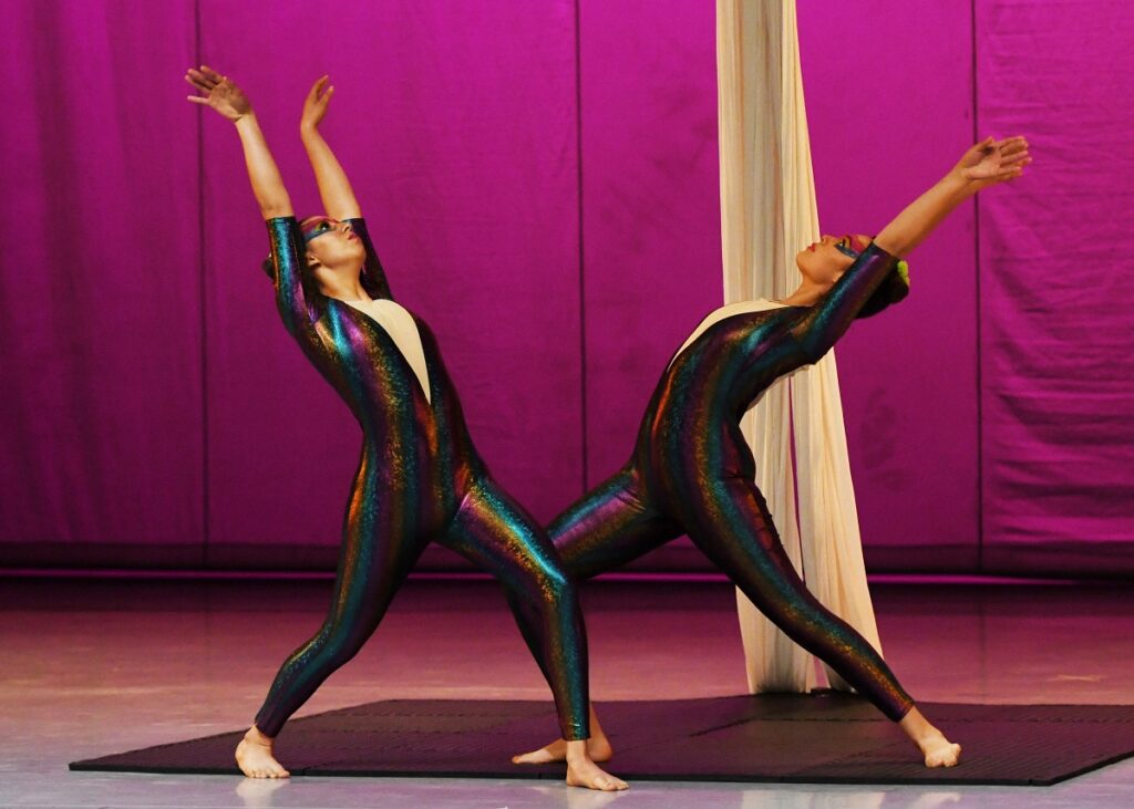 Muestra Internacional de Danza tendrá 10 días de actividades 7 Muestra Internacional Danza Cuerpos Tránsito cecut