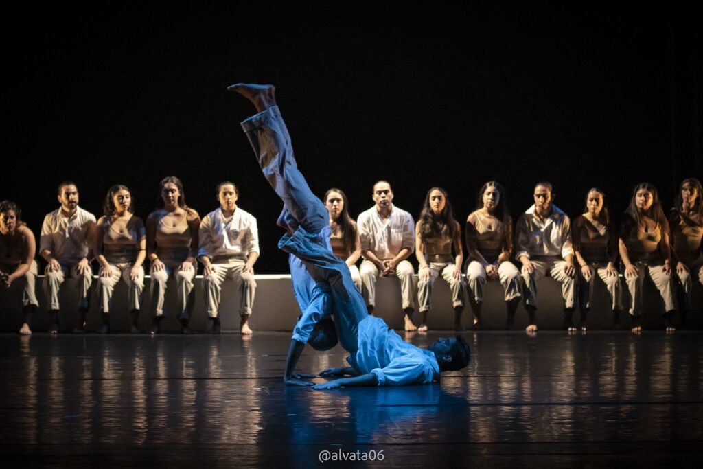 Muestra Internacional de Danza tendrá 10 días de actividades 6 Muestra Internacional Danza Cuerpos Tránsito cecut
