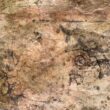pintura mural Conjunto Dragones inah cancun zoomorf