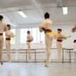 Coppélia Hoffmann danza bellas artes Swanilda Franz