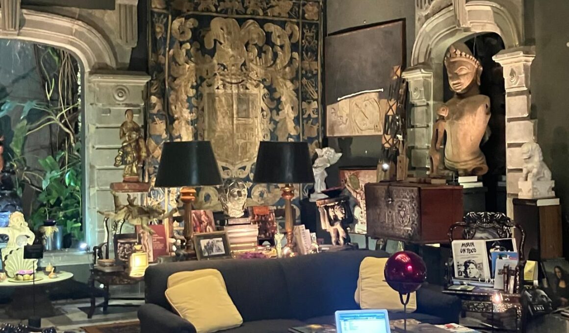 Gabinete de curiosidades estate sales vintage velfu