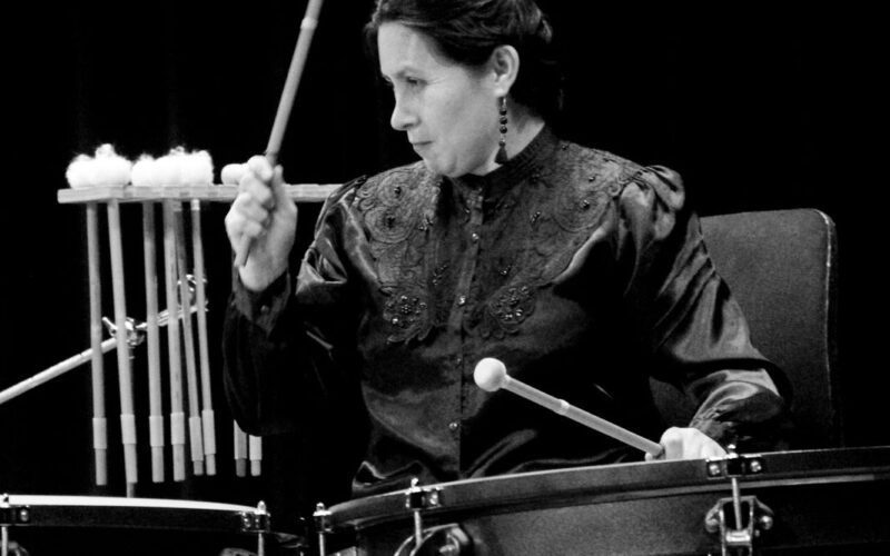 Novarimba Tania Govea marimba narcocorridos musica