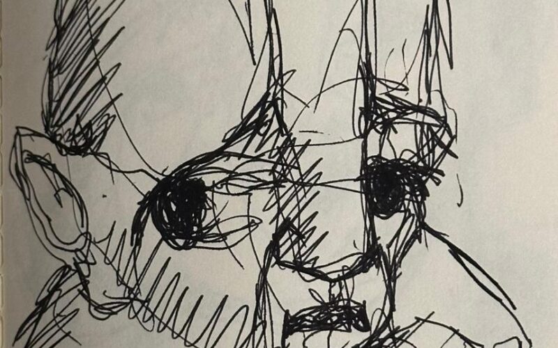 cuentos Monte Rojo Nunca Tanto filostre dinosaurios