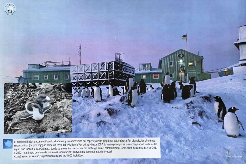 Ucrania y la UNAM pactan alianza 6 Ucrania unam científico antartico facultad ciencias