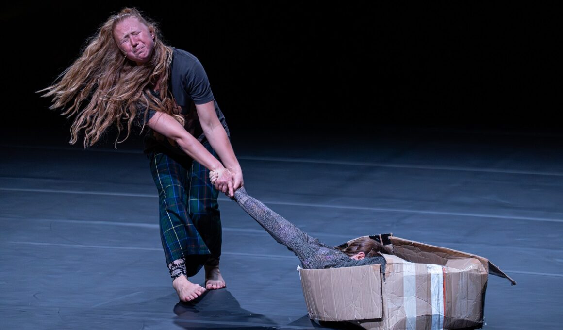 Wim Vandekeybus void danza coreografia belga ultima