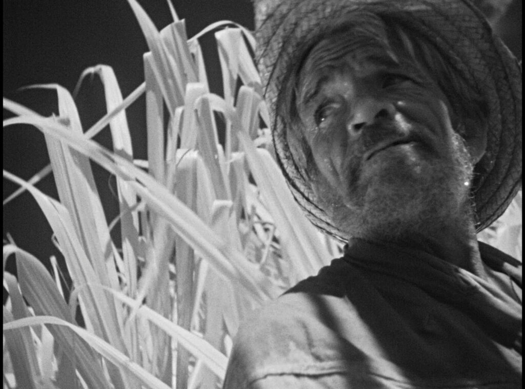 Clásicos del Cine Cubano revisa los 10 filmes más influyentes de la isla 10 Ciclo Clásicos del Cine Cubano llega a la Cineteca