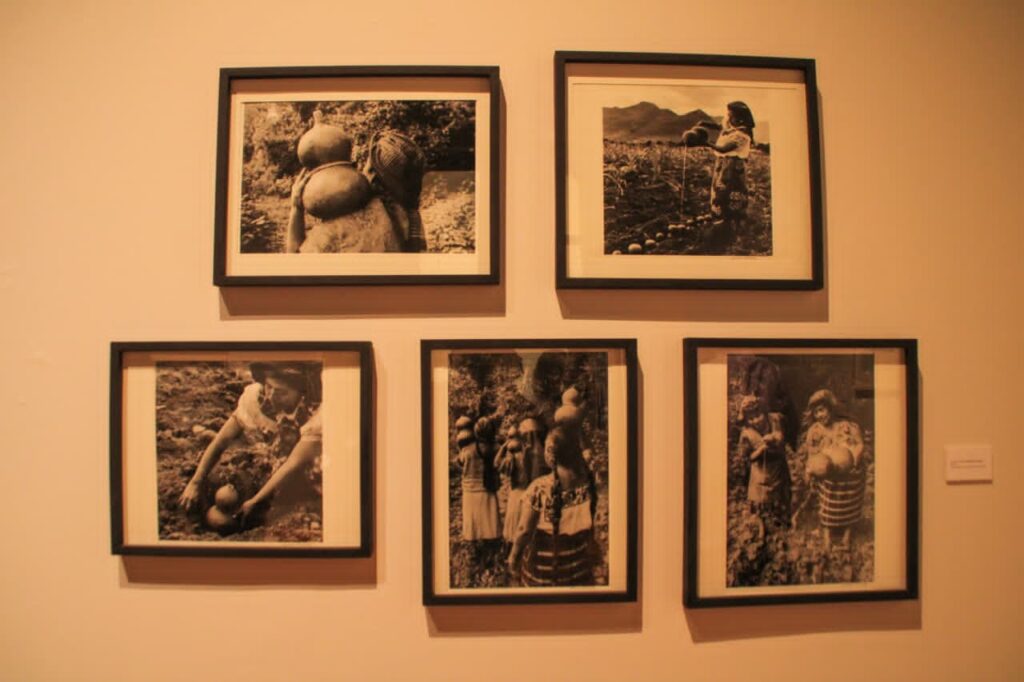 La fotógrafa Lucero González reúne más de tres décadas de trabajo 6 Lucero González reúne más de tres década de trabajo