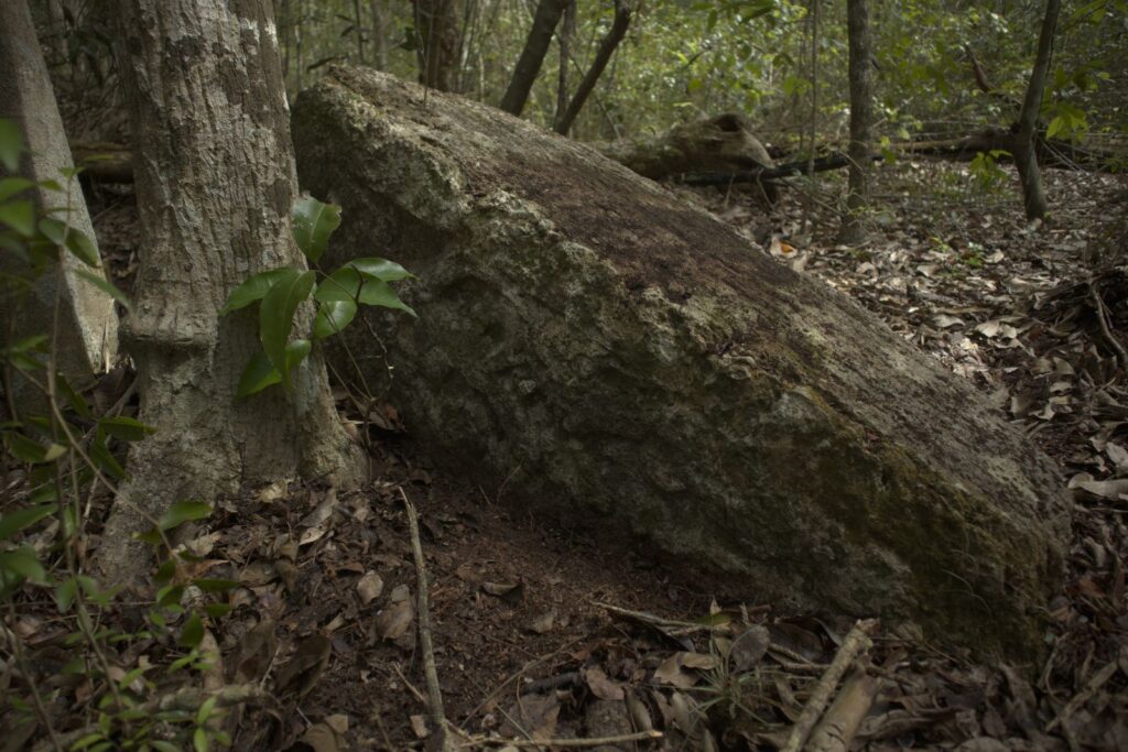 Minanbé, la ciudad maya descubierta en Calakmul 8 Minanbé, la ciudad maya descubierta en Calakmul