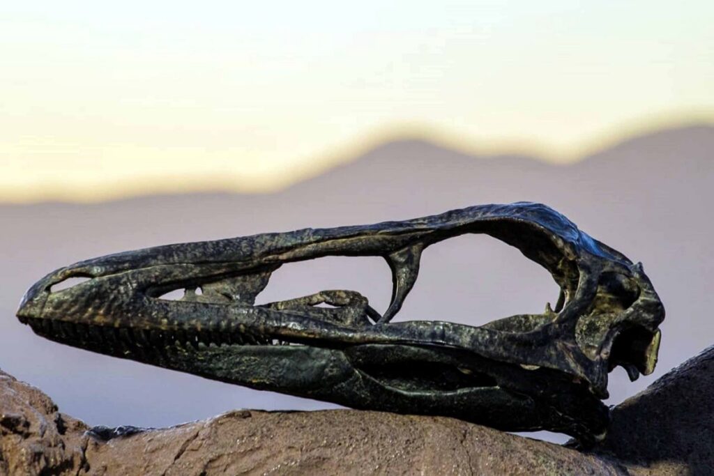 'Xenovenator espinosai': dinosaurio, carnívoro y paleontólogo de la UNAM 7 Xenovenator espinosai: honran a paleontólogo de UNAM