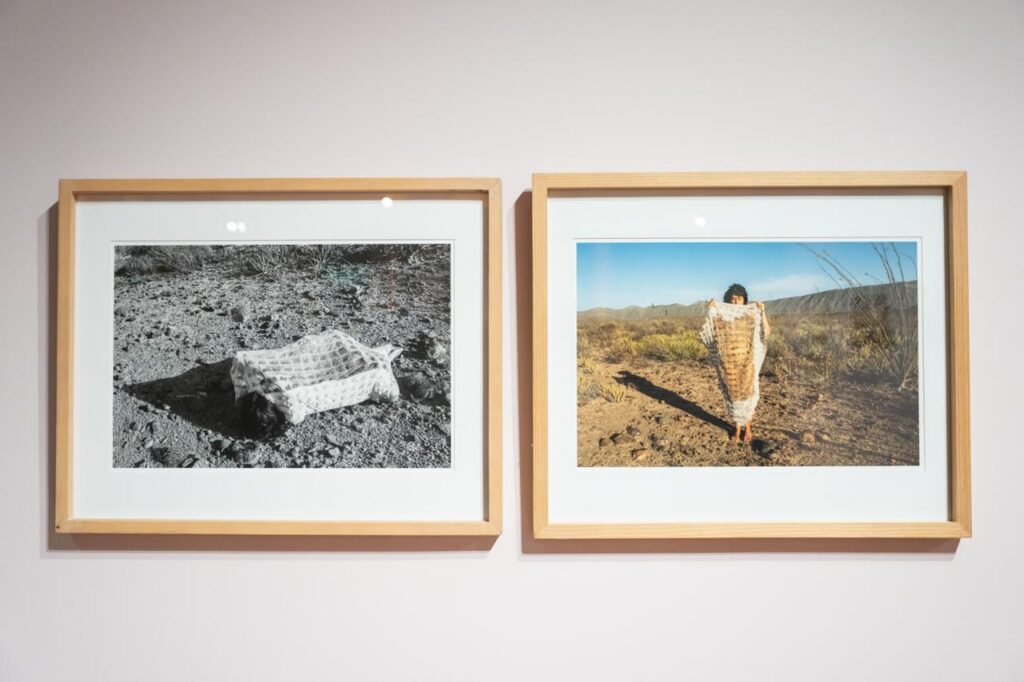 'Lesa Natura' y 'Acné' siguen vigentes a 30 años de su exposición 6 Lesa Natura y Acné vuelven al Museo de Arte Moderno