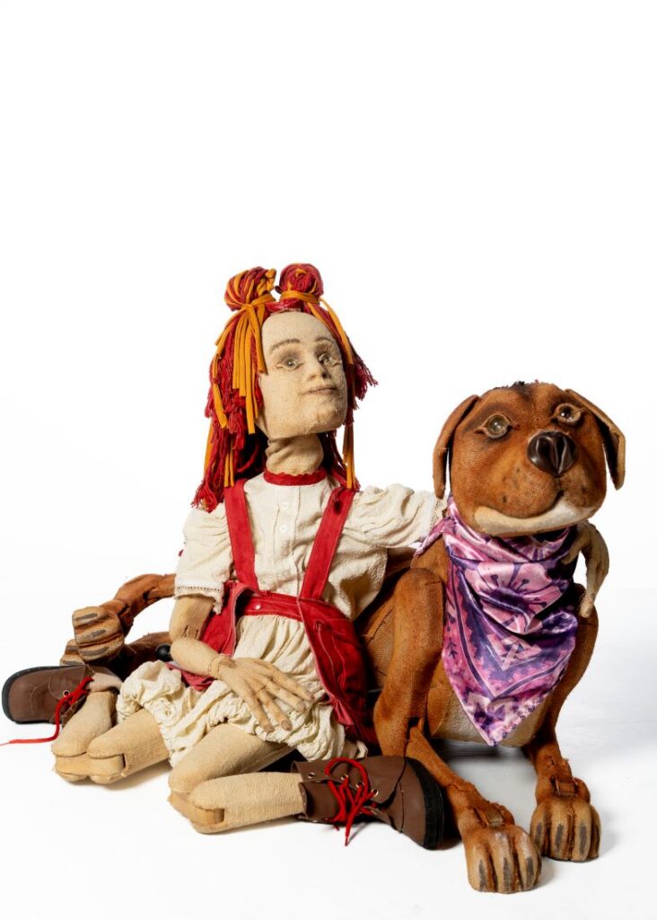 La pitbull de tres patas Chumina llega al teatro Milán 7 Pitbull de tres patas Chumina llega al teatro Milán