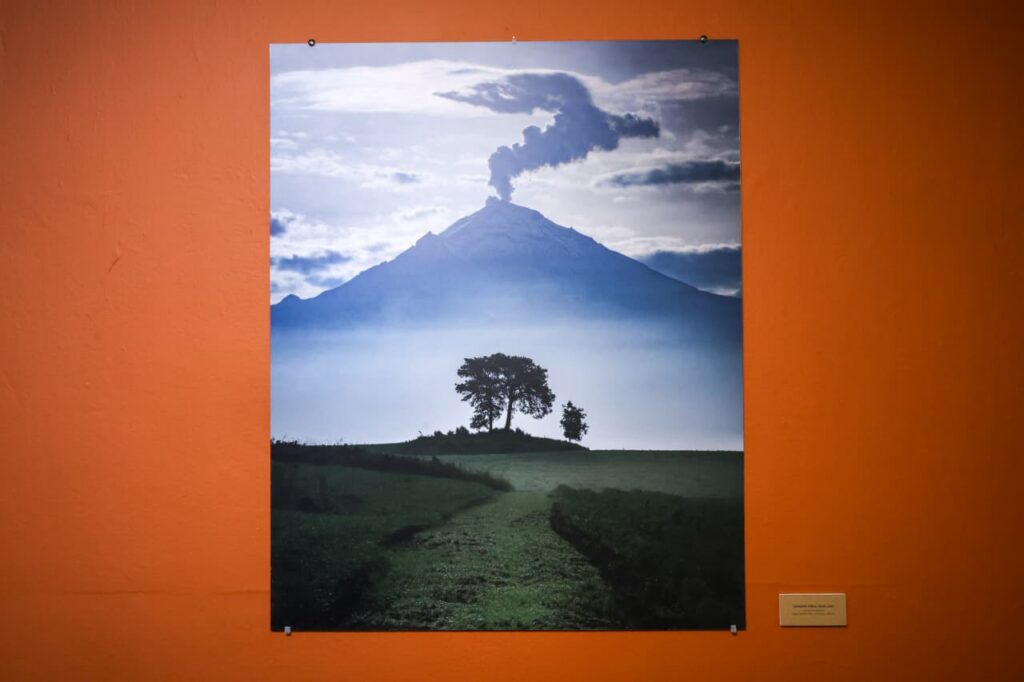 'Centinelas del Tiempo' exhibe 15 fotografías ganadoras y finalistas 7 Centinelas del tiempo exhibe 15 imágenes de árboles